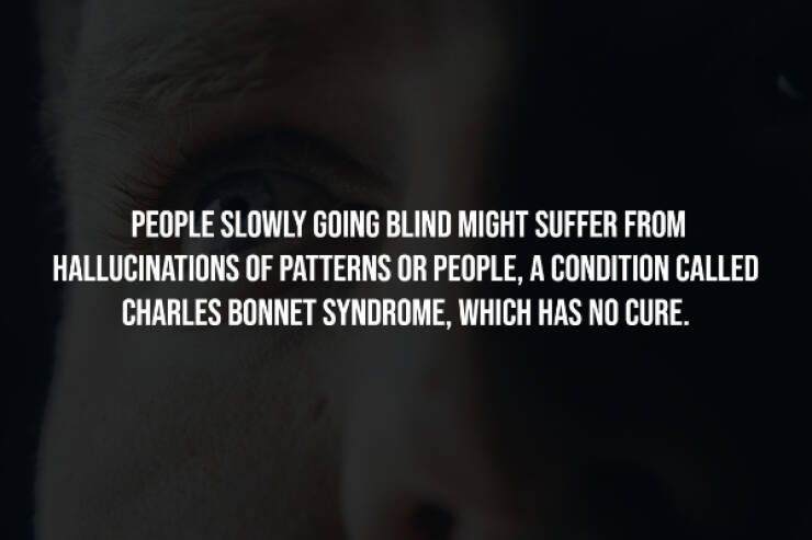 Dark Secrets Lurking In Plain Sight Dark Secrets Lurking In Plain Sight