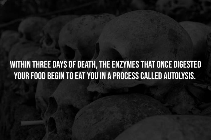 Dark Secrets Lurking In Plain Sight Dark Secrets Lurking In Plain Sight
