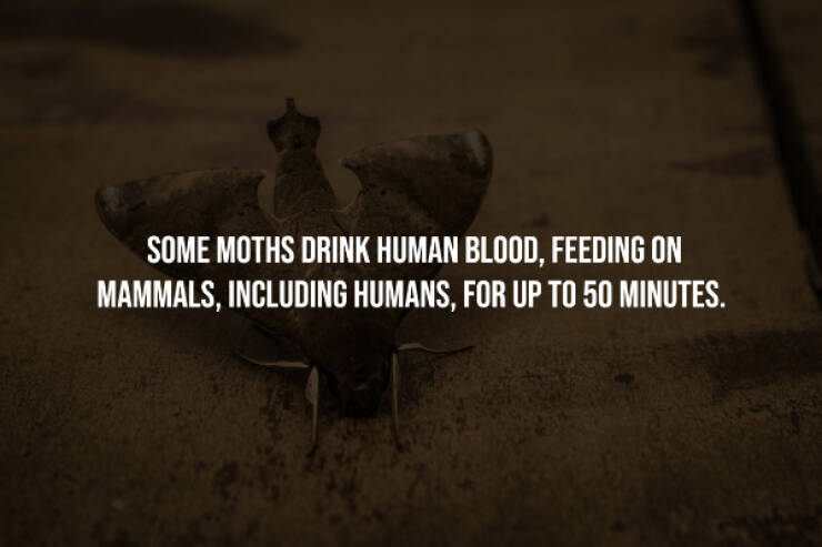 Dark Secrets Lurking In Plain Sight Dark Secrets Lurking In Plain Sight