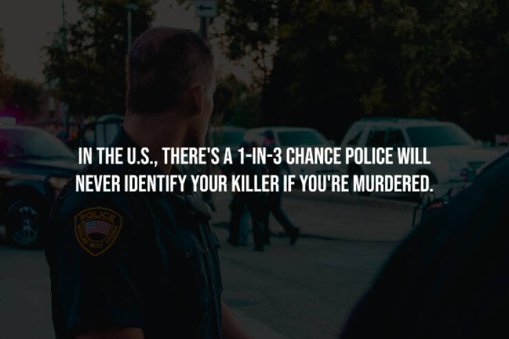 Dark Secrets Lurking In Plain Sight Dark Secrets Lurking In Plain Sight