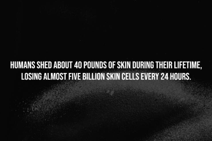 Dark Secrets Lurking In Plain Sight Dark Secrets Lurking In Plain Sight