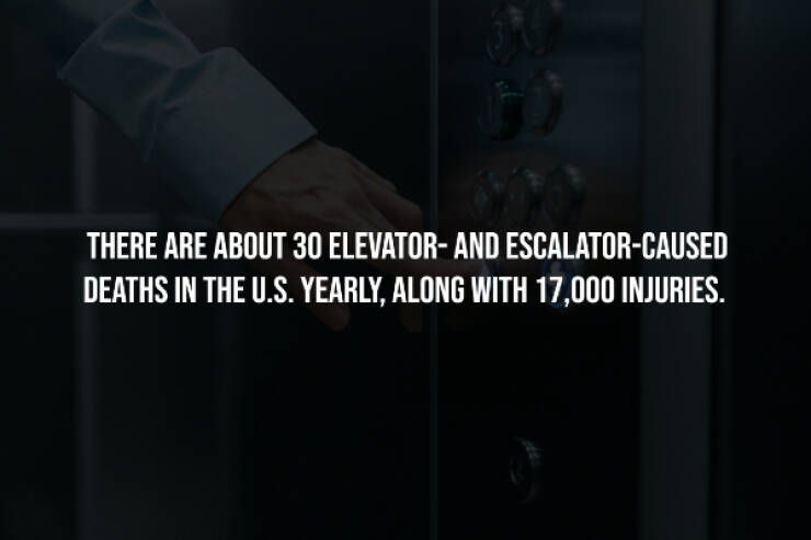 Dark Secrets Lurking In Plain Sight Dark Secrets Lurking In Plain Sight