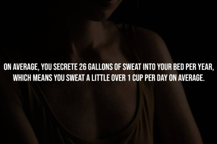 Dark Secrets Lurking In Plain Sight Dark Secrets Lurking In Plain Sight