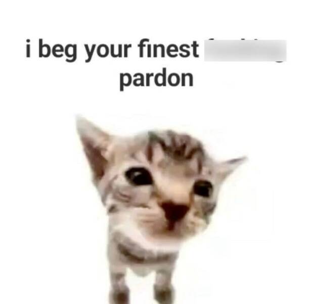 Funny Picdump Funny Picdump