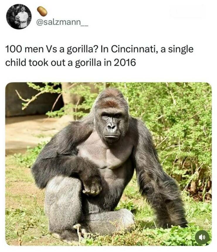 Funny Picdump Funny Picdump