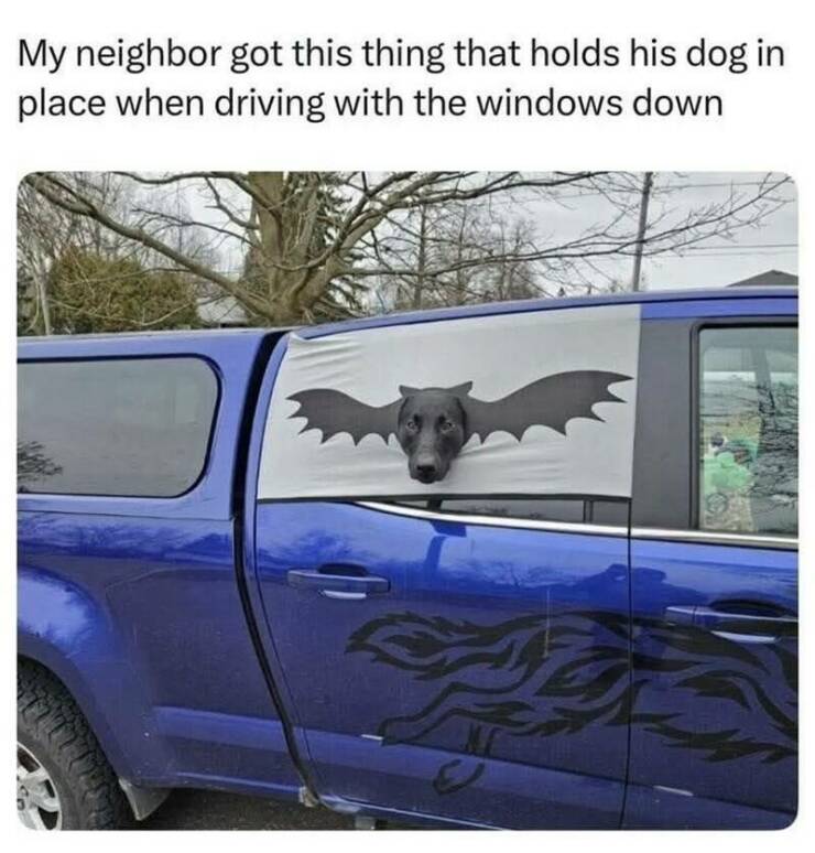 Funny Picdump Funny Picdump