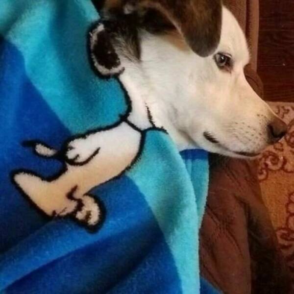 Photos That Shouldn’t Exist, But Somehow Do Photos That Shouldn’t Exist, But Somehow Do