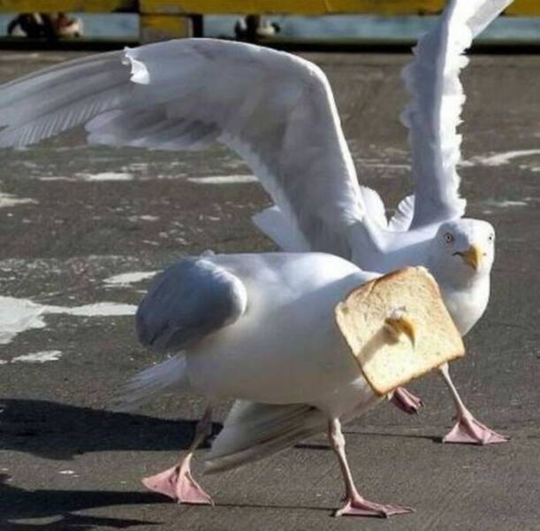 Photos That Shouldn’t Exist, But Somehow Do Photos That Shouldn’t Exist, But Somehow Do