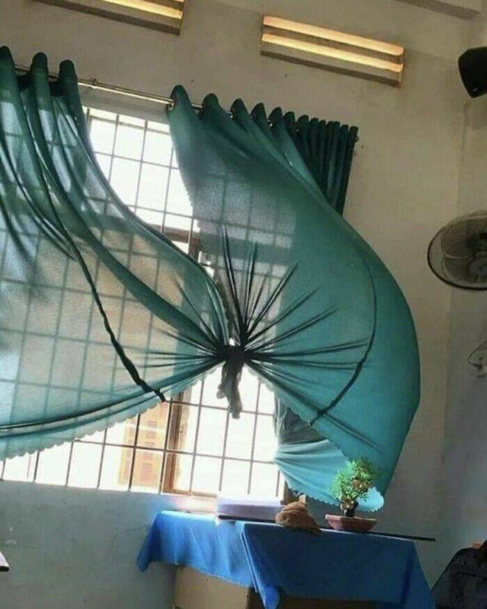 Photos That Shouldn’t Exist, But Somehow Do Photos That Shouldn’t Exist, But Somehow Do