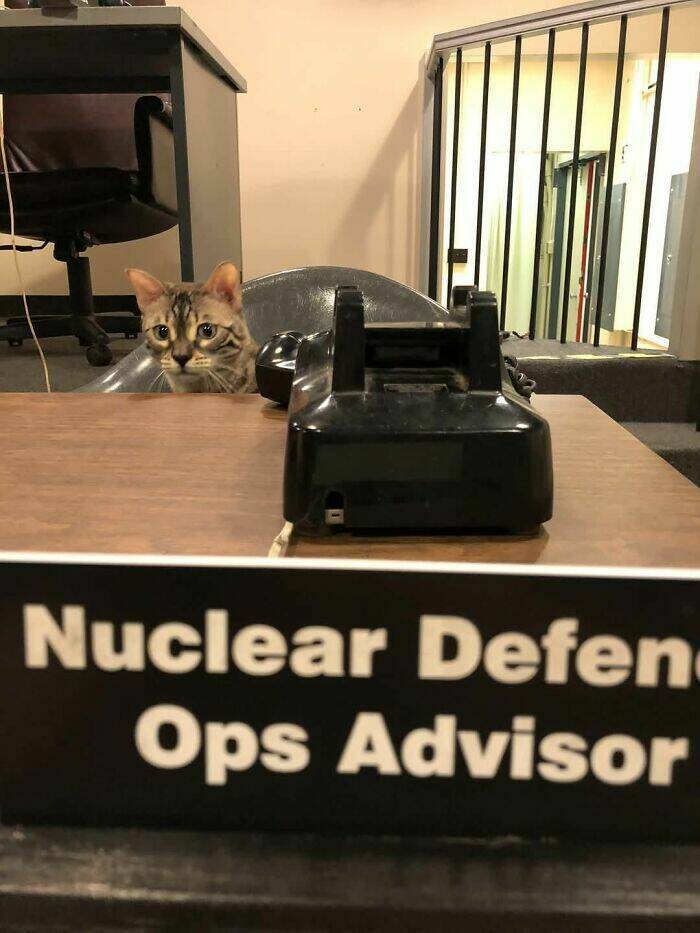 Photos That Shouldn’t Exist, But Somehow Do Photos That Shouldn’t Exist, But Somehow Do