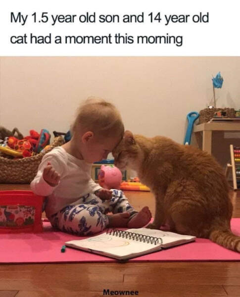 These Gentle Memes Are Like A Cup of Tea