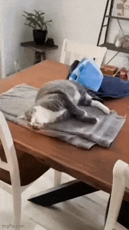 Daily Gifdump Daily Gifdump