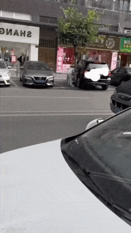 Daily Gifdump Daily Gifdump