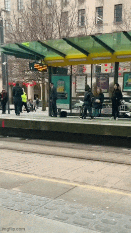 Daily Gifdump Daily Gifdump