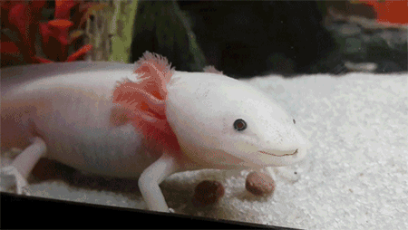 Your Brain Didn’t Ask, But These Facts Came Anyway