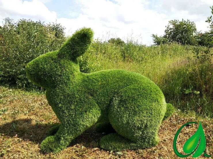 Daily Picdump Daily Picdump