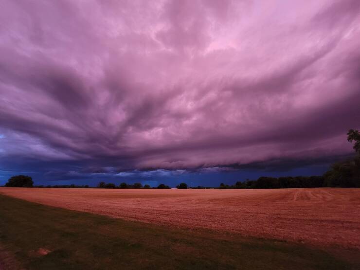 Daily Picdump Daily Picdump