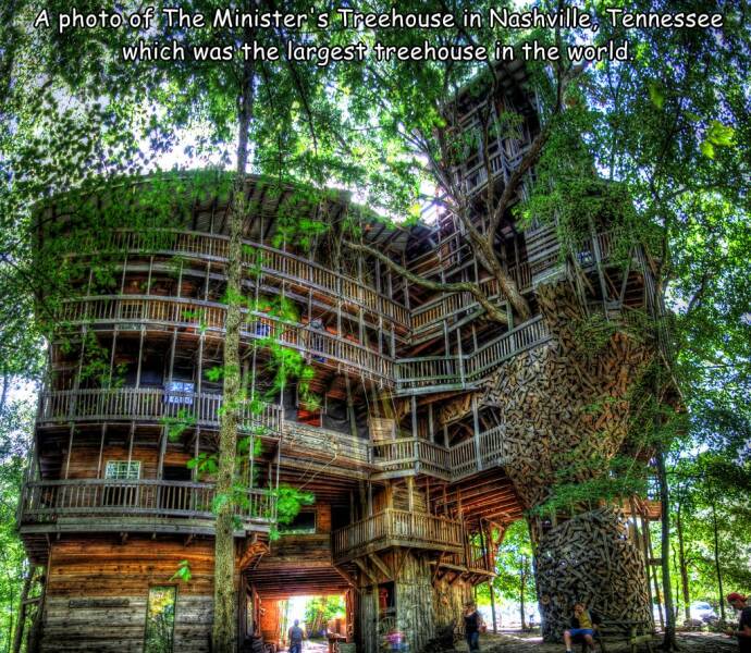 Daily Picdump Daily Picdump