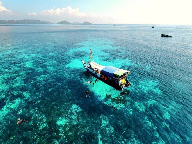 Daily Picdump Daily Picdump