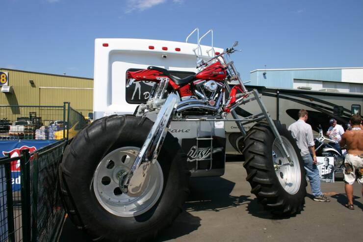 Daily Picdump Daily Picdump