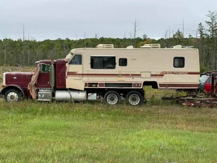 Daily Picdump Daily Picdump