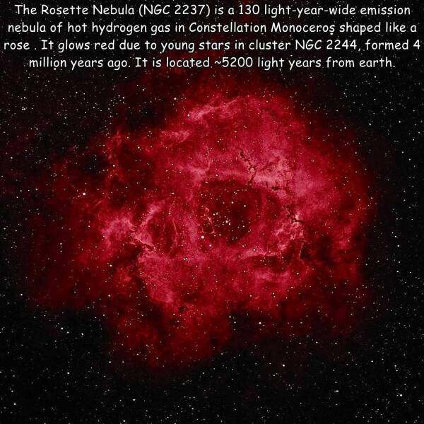 Daily Picdump Daily Picdump