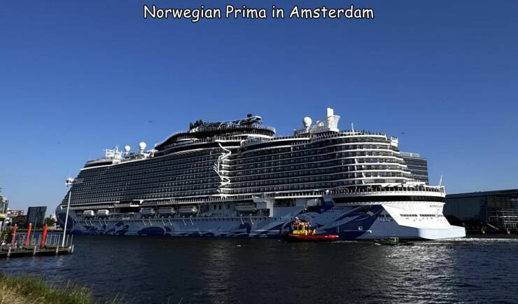 Daily Picdump Daily Picdump