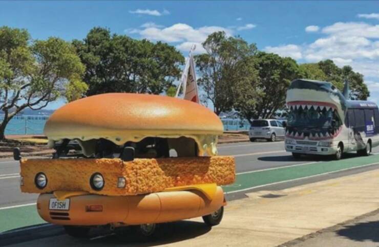 Daily Picdump Daily Picdump