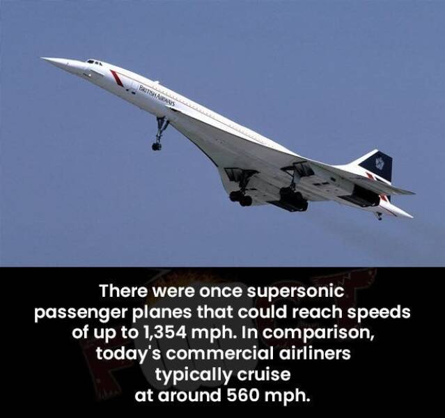 Daily Picdump Daily Picdump