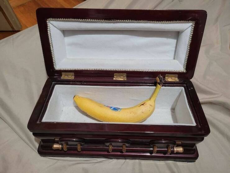 Daily Picdump Daily Picdump