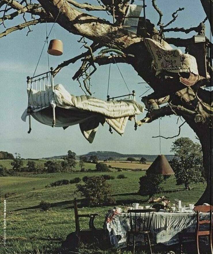 Daily Picdump Daily Picdump