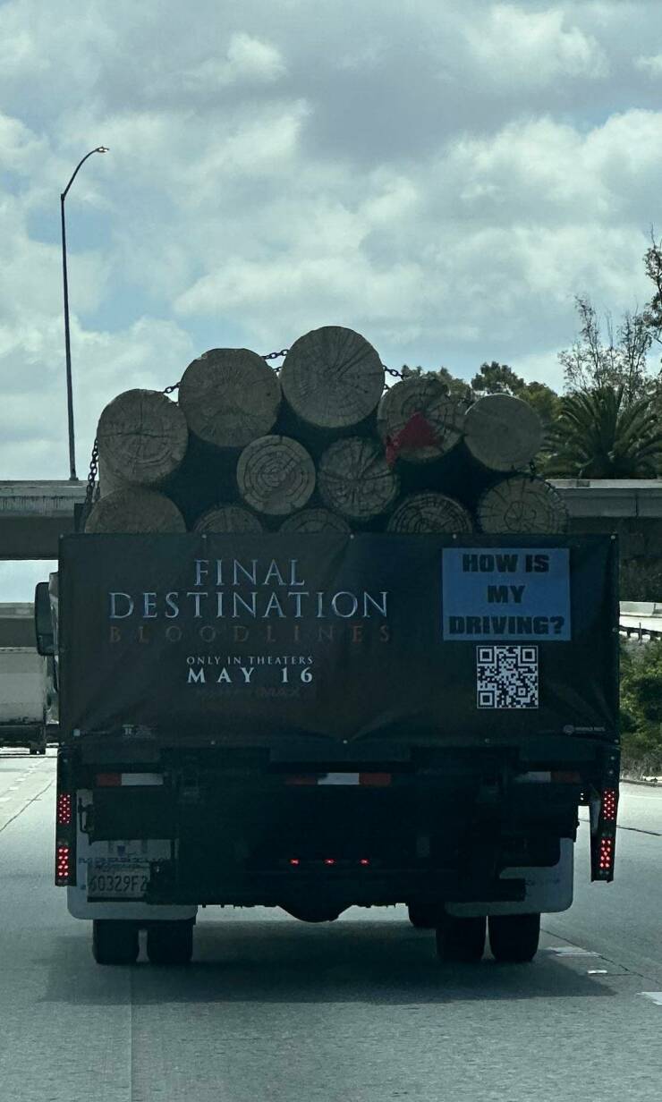 Daily Picdump Daily Picdump