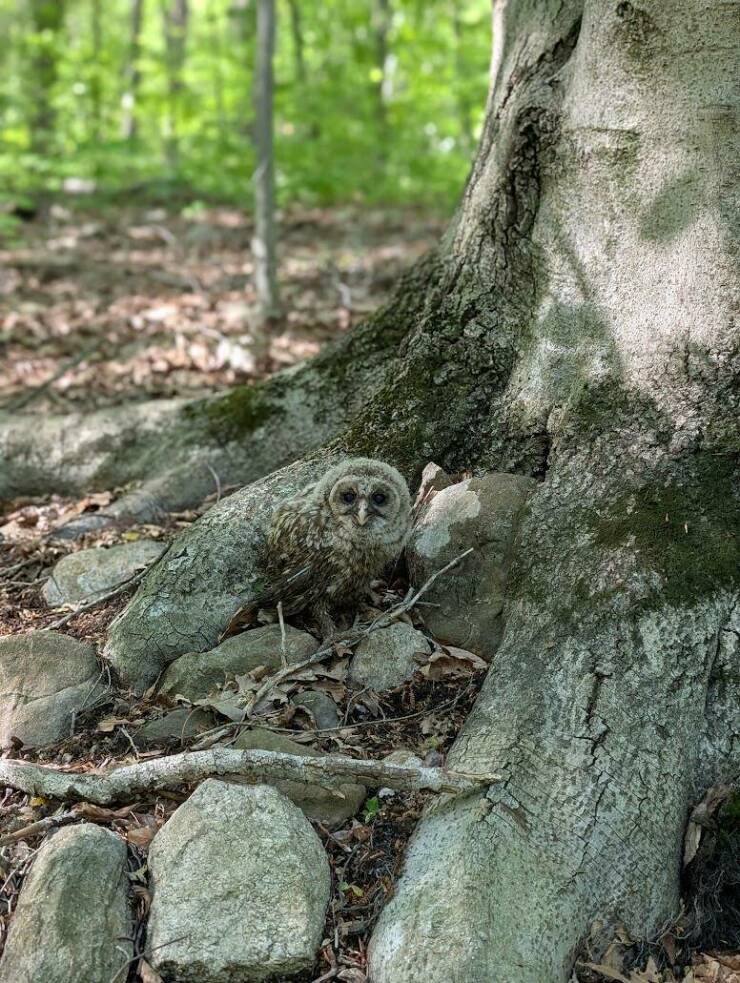 Daily Picdump Daily Picdump