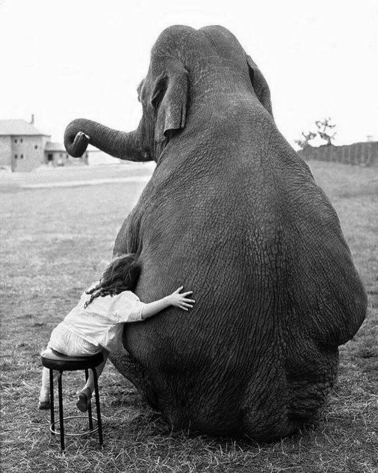 Daily Picdump Daily Picdump