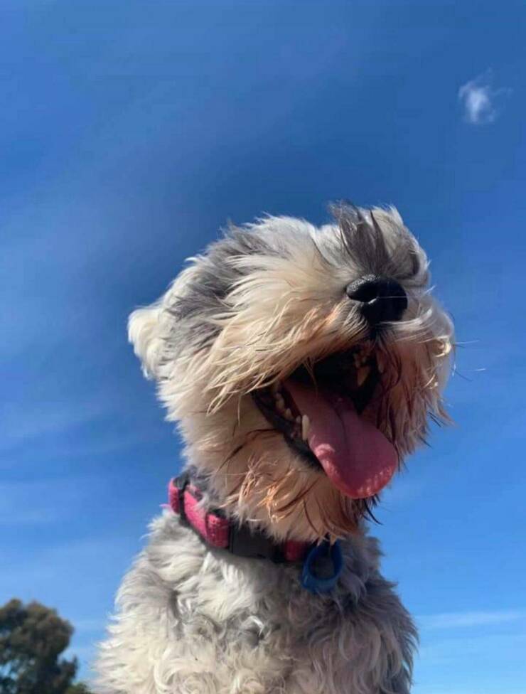 Daily Picdump Daily Picdump