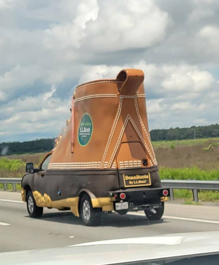 Daily Picdump Daily Picdump