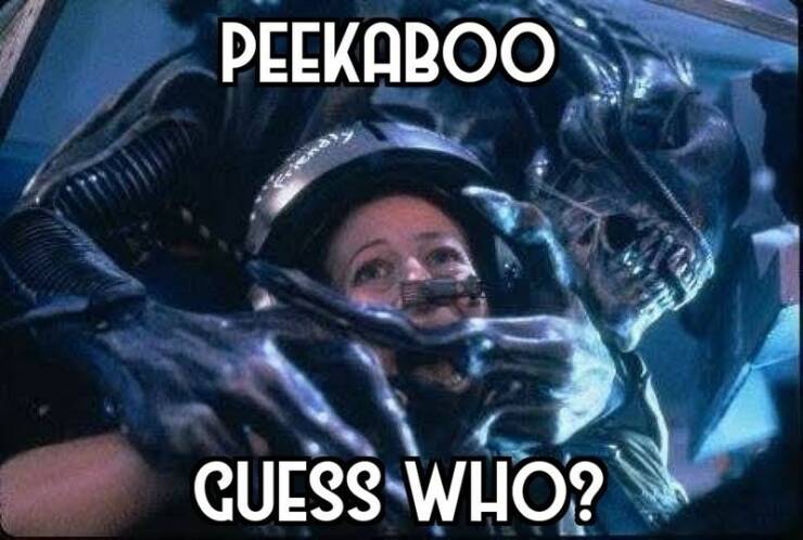 Funny Picdump Funny Picdump