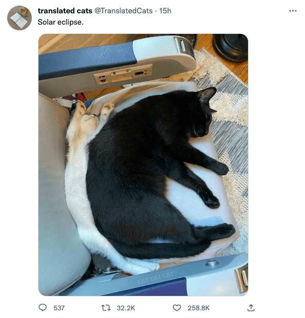 Funny Picdump Funny Picdump