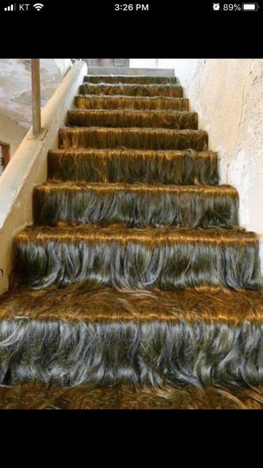 Funny Picdump Funny Picdump