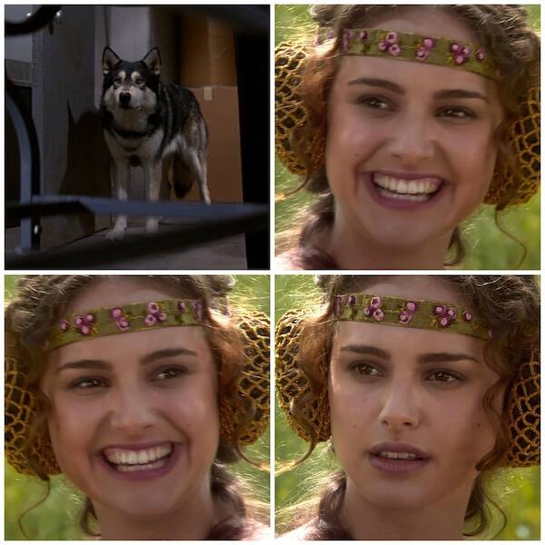 Memes For Heroes, Villains, And Everyone Between – From Gotham To Gallifrey