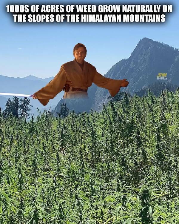 Memes For Heroes, Villains, And Everyone Between – From Gotham To Gallifrey