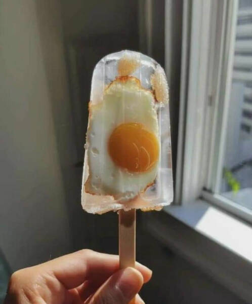 Real Meals That Should’ve Been Crimes Against Cooking