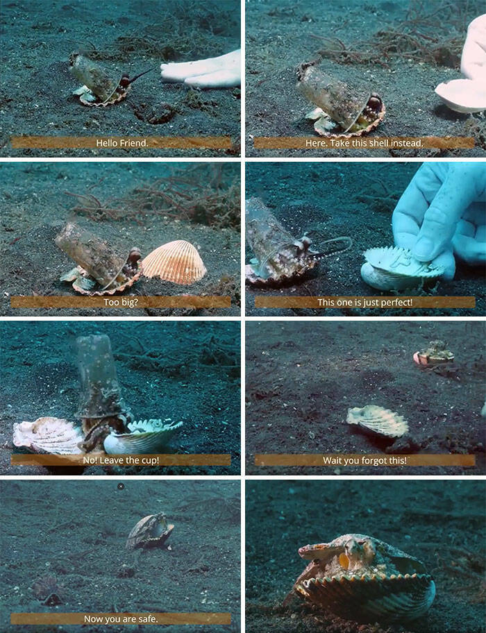 Stunning Ocean Photos That Reveal Its Deepest Mysteries