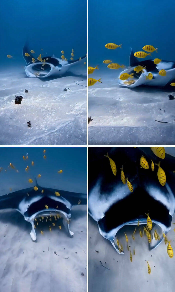 Stunning Ocean Photos That Reveal Its Deepest Mysteries