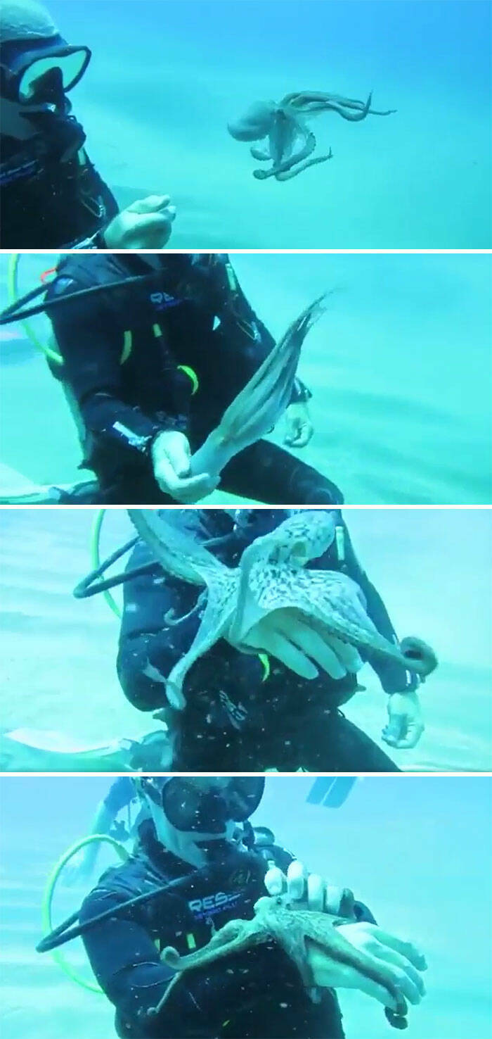 Stunning Ocean Photos That Reveal Its Deepest Mysteries