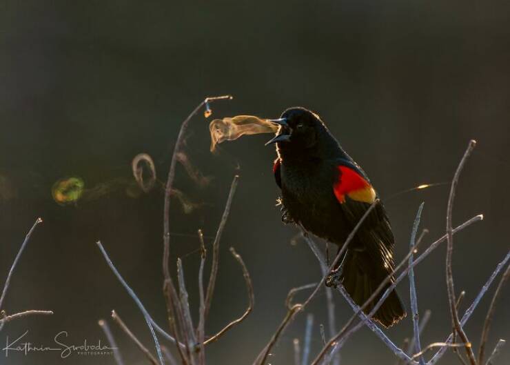 Unbelievable Coincidences You Have To See To Believe