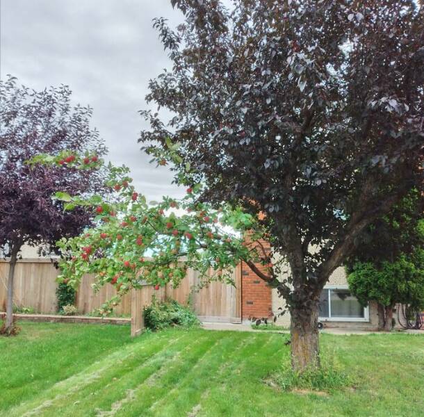 Unbelievable Coincidences You Have To See To Believe