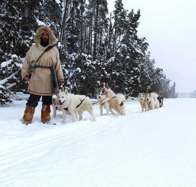 Working Dogs Want Snacks… And A Promotion