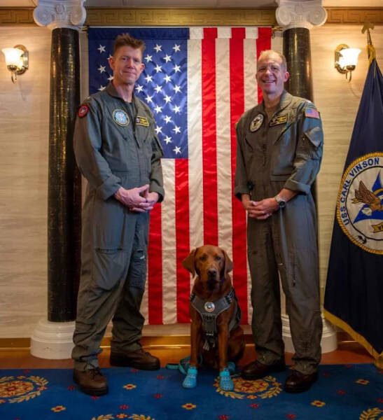 Working Dogs Want Snacks… And A Promotion