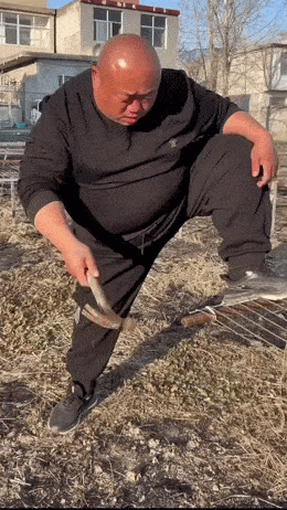 Daily Gifdump Daily Gifdump